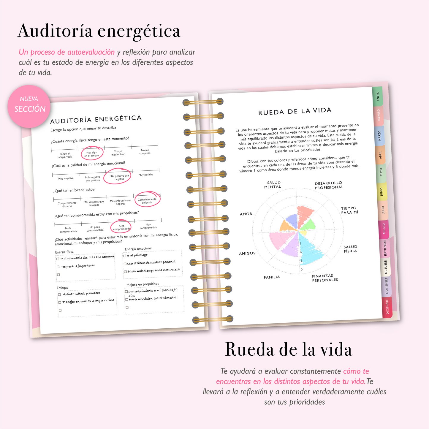 Agenda 2025 | Pía